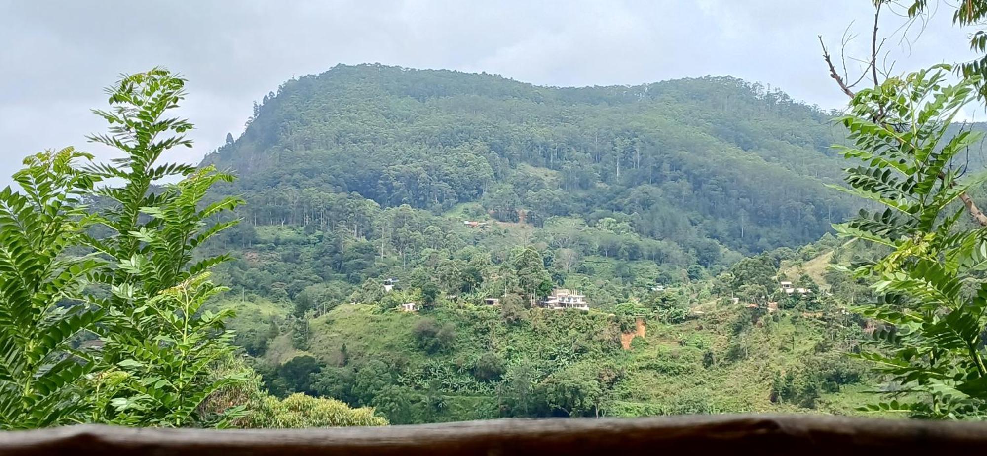 Sunlit Cottage إيلا المظهر الخارجي الصورة