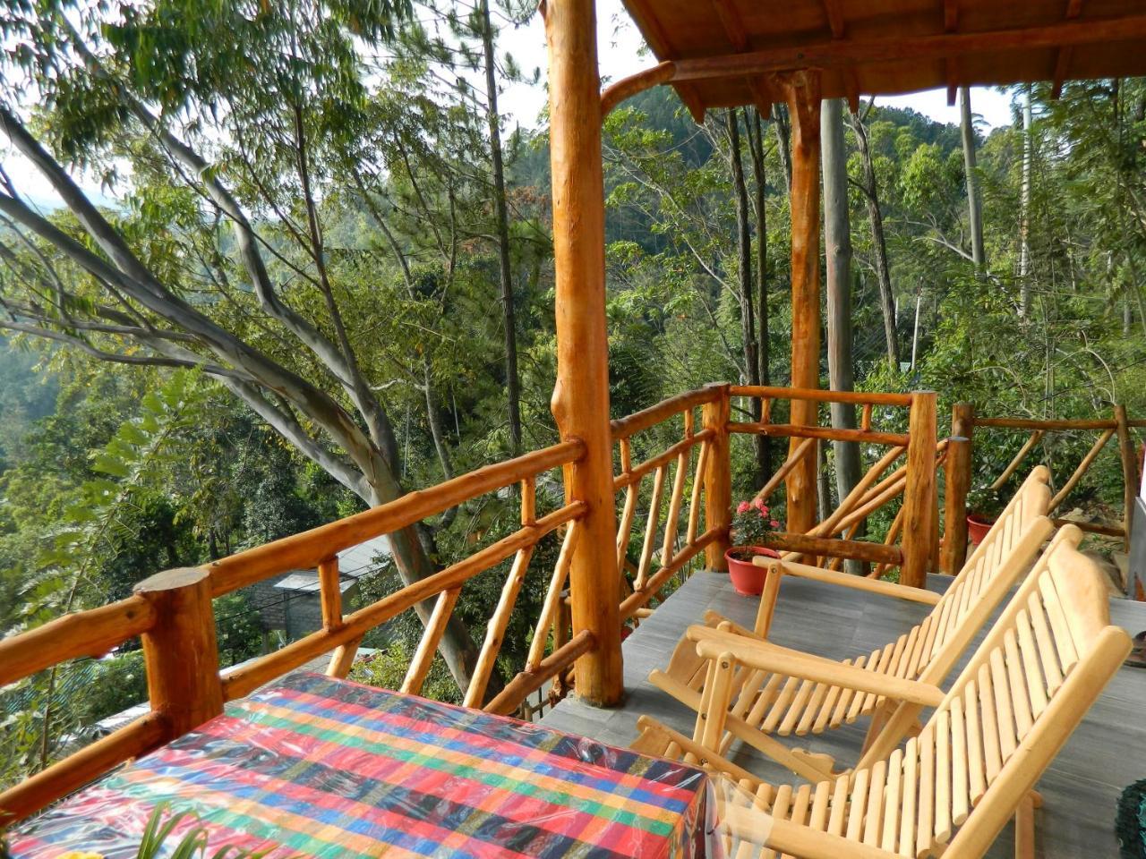 Sunlit Cottage إيلا المظهر الخارجي الصورة