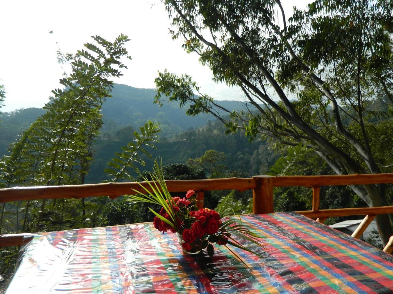 Sunlit Cottage إيلا المظهر الخارجي الصورة