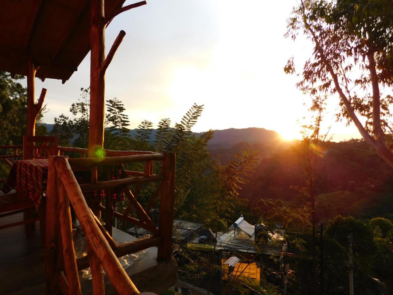 Sunlit Cottage إيلا المظهر الخارجي الصورة
